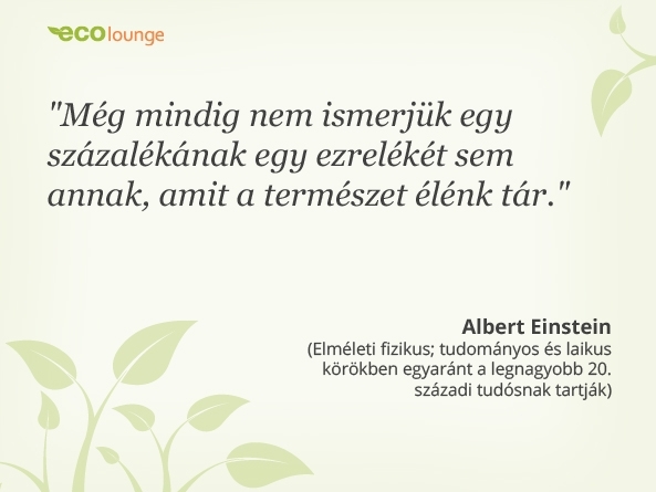 Albert Einstein idézet
