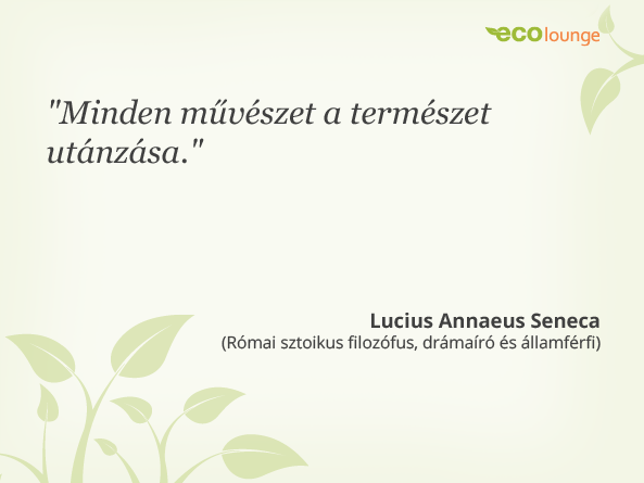 Lucius Annaeus Seneca idézet