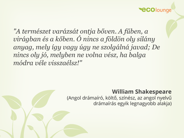 William Shakespeare idézet
